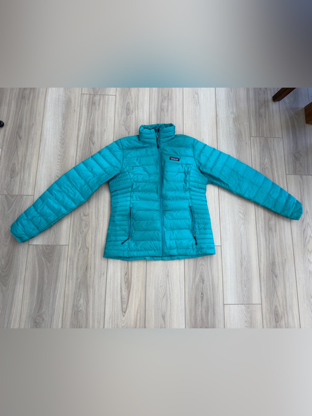 Patagonia Teal Women’s Medium Puffer Jacket